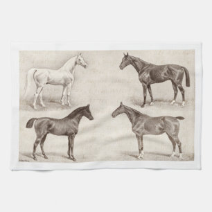 Vintage Horses - Horse and Pony Templates  horse Tea Towel