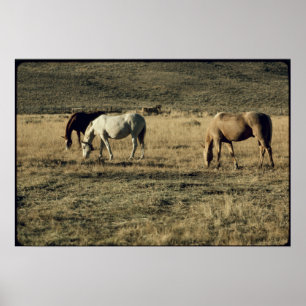 Vintage Horses Poster