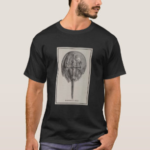 Vintage Horseshoe Crab Illustration (1923) T-Shirt