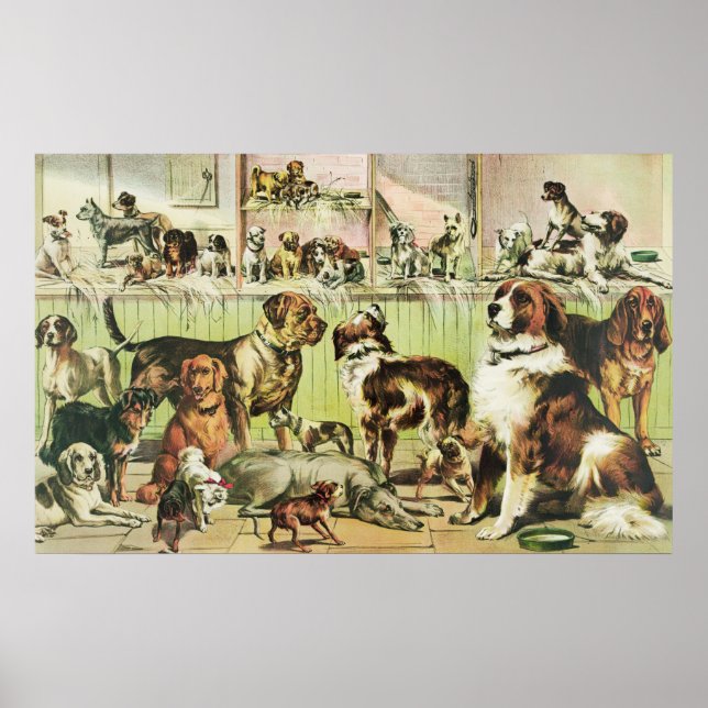 Vintage House Kennel and Field Dog  Poster (Front)