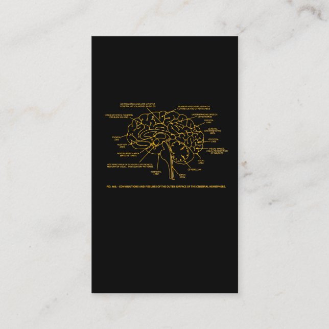 Vintage Human Anatomy Brain Business Card (Front)