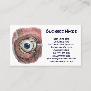 Vintage Human Anatomy, Eyeball Eye with Muscles Business Card