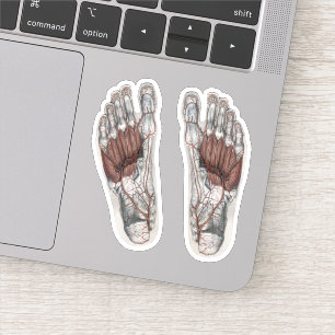 Vintage Human Anatomy Footprint Podiatry Foot