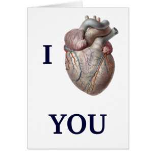 Vintage Human Anatomy, I Heart Love You