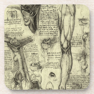 Vintage Human Anatomy Larynx Leg Leonardo da Vinci Coaster