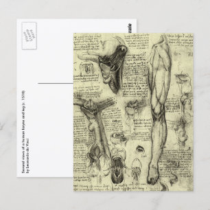 Vintage Human Anatomy Larynx Leg Leonardo da Vinci Postcard