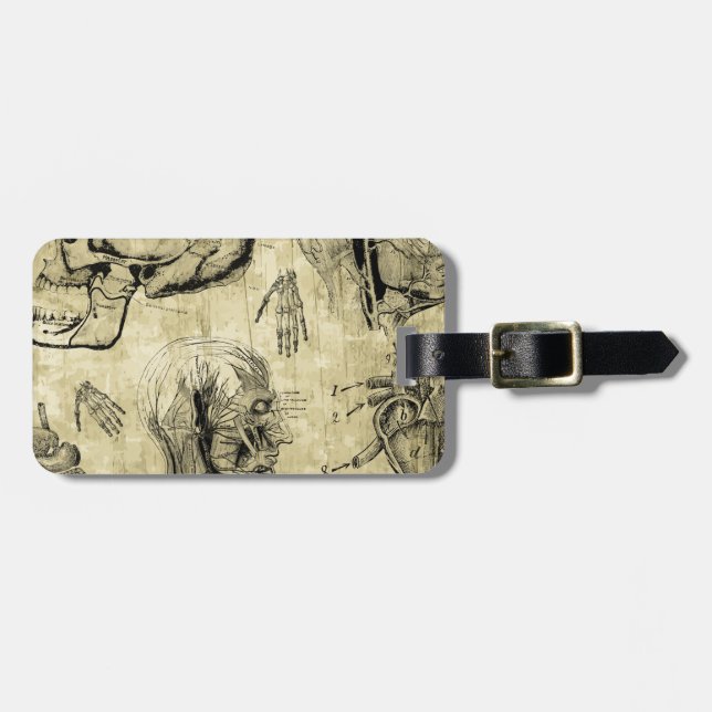 Vintage Human Anatomy Luggage Tag (Front Horizontal)