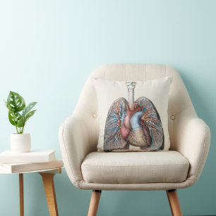 Vintage Human Anatomy Lungs Heart Organs Blood Cushion