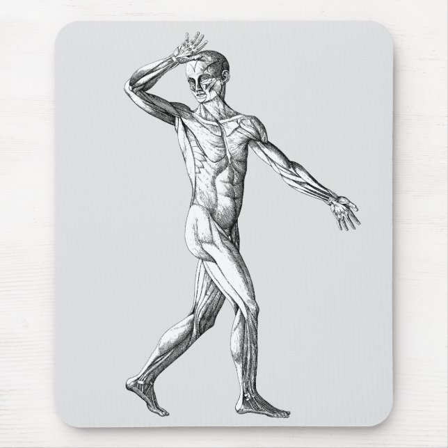 Vintage Human Anatomy, Male Body Muscles Mouse Mat (Front)