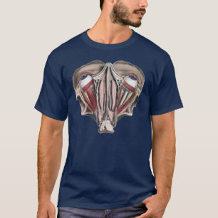 Vintage Human Anatomy Science, Eyeballs Eyes T-Shirt