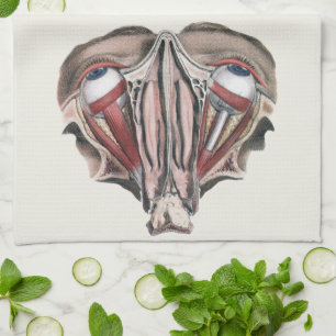 Vintage Human Anatomy Science, Eyeballs Eyes Tea Towel