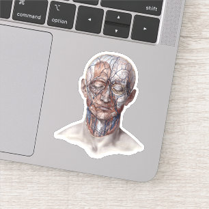 Vintage Human Anatomy Science, Head Throat Nose