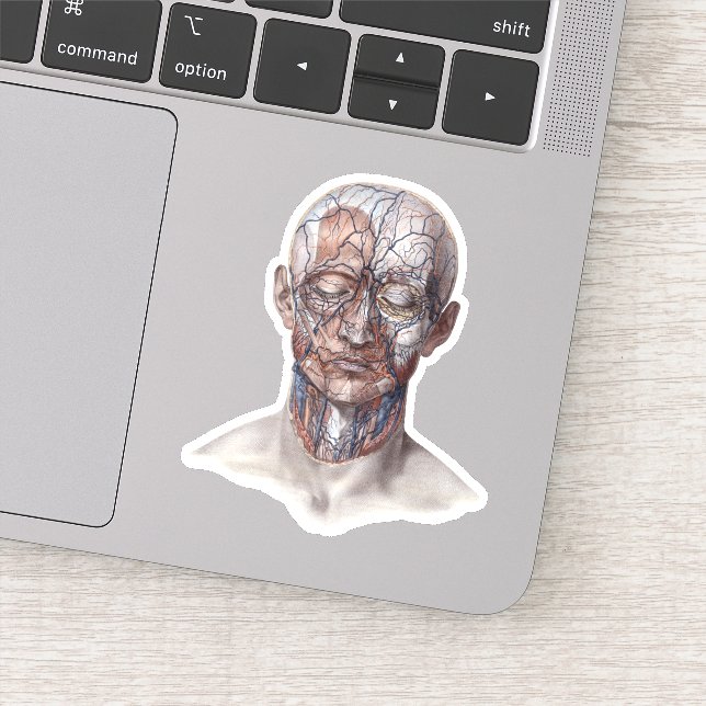 Vintage Human Anatomy Science, Head Throat Nose (Detail)