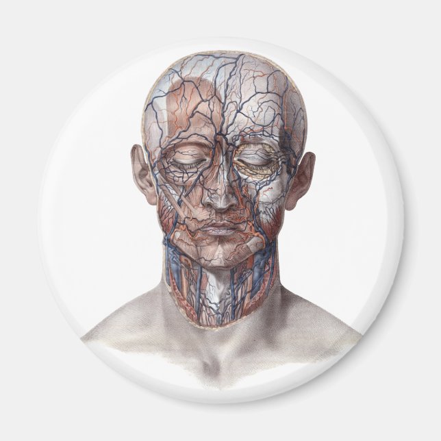 Vintage Human Anatomy Science, Head Throat Nose Magnet (Front)