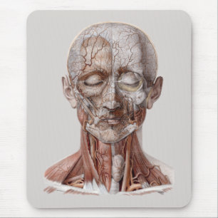 Vintage Human Anatomy Science, Head Throat Nose Mouse Mat