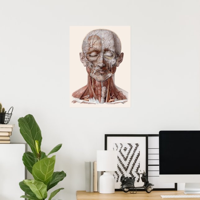 Vintage Human Anatomy Science, Head Throat Nose Poster (Home Office)