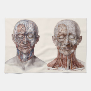 Vintage Human Anatomy Science, Head Throat Nose Tea Towel