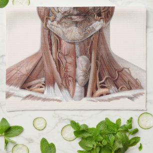 Vintage Human Anatomy Science, Head Throat Nose Tea Towel