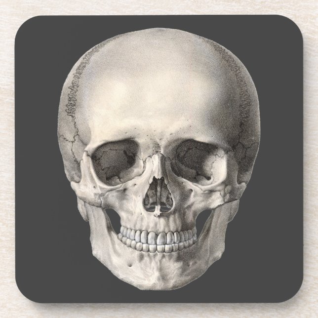 Vintage Human Anatomy Skull, Halloween Skeleton Coaster (Front)