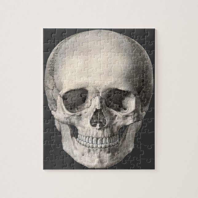 Vintage Human Anatomy Skull, Halloween Skeleton Jigsaw Puzzle (Vertical)