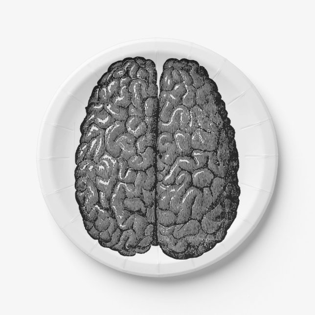 Vintage Human Brain Illustration Paper Plate (Front)