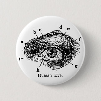 Vintage Human Eye Diagram 6 Cm Round Badge