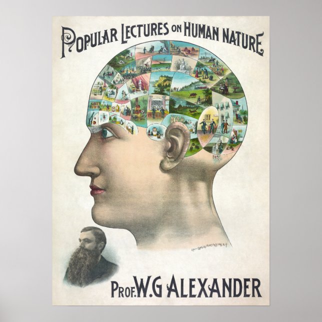 Vintage Human Nature/Phrenology head Illustration  Poster (Front)