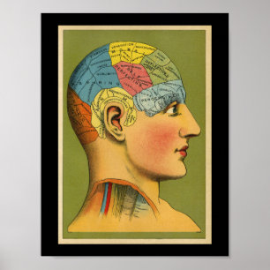 Vintage Human Phrenology Print