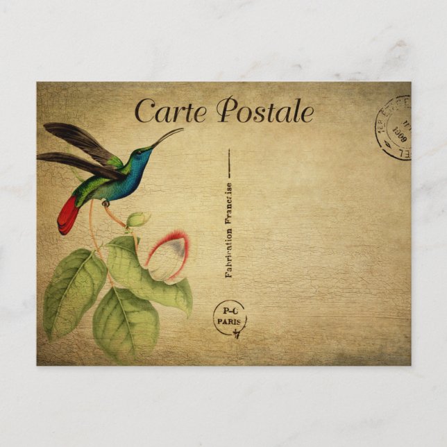 Vintage Humming Bird Floral Flowers French Postcard (Front)