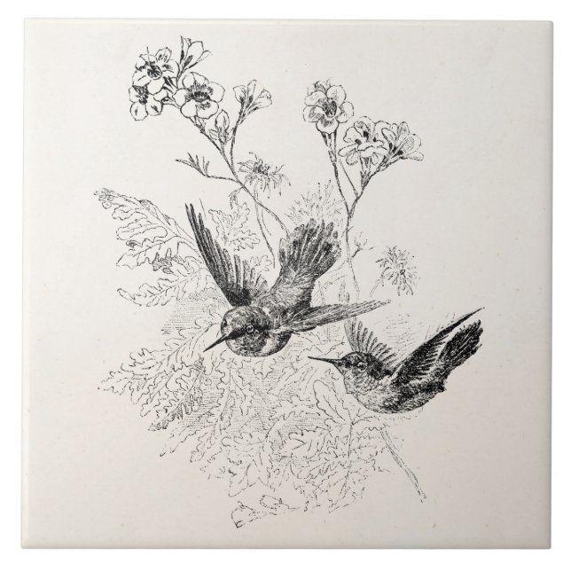 Vintage Hummingbird Antique Birds Template Tile (Front)