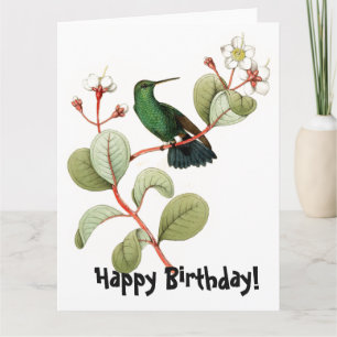Vintage Hummingbird Bird Birthday Greeting Card