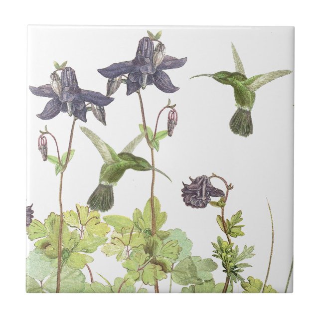 Vintage Hummingbird Birds Wildlife Flowers Tile (Front)