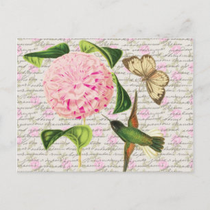 Vintage Hummingbird Butterfly and Caryophyllus Postcard