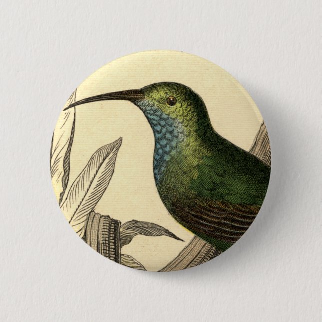 Vintage Hummingbird Button (Front)