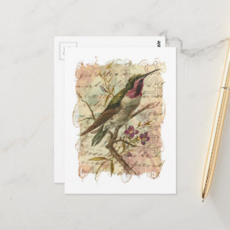 Vintage Hummingbird Collage Postcard