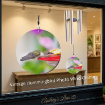 Vintage Hummingbird Garden Scene Custom 