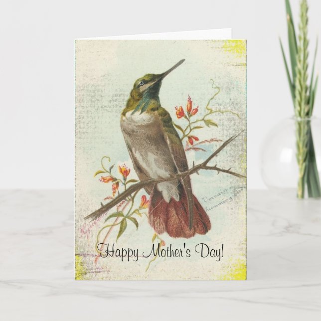 Vintage Hummingbird, Mother's Day Card (Front)