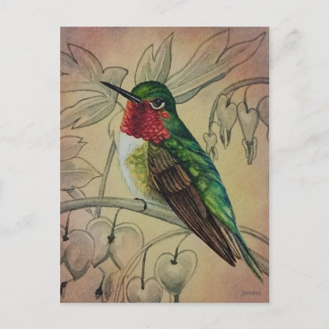 Vintage Hummingbird No. 4 Watercolor Art Postcard (Front)