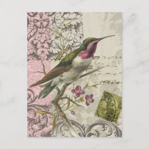 Vintage Hummingbird...postcard Postcard