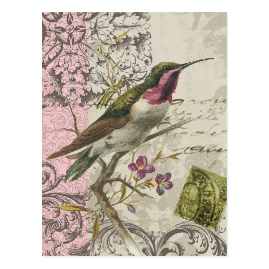 Vintage Hummingbird...postcard Postcard