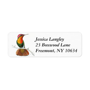 Vintage hummingbird return address labels