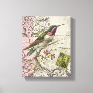 Vintage Hummingbird...stretched canvas Print
