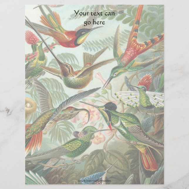 Vintage Hummingbirds (Front)