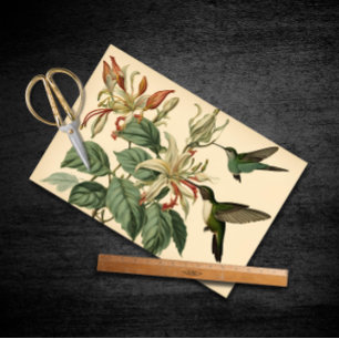 Vintage Hummingbirds and Honeysuckle Decoupage Tissue Paper