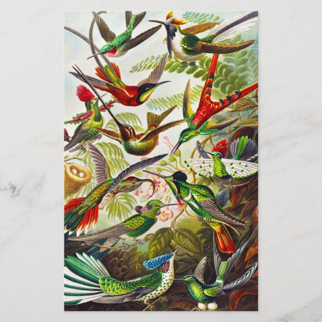 Vintage Hummingbirds by Ernst Haeckel (Front)