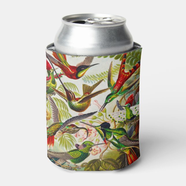 Vintage Hummingbirds by Ernst Haeckel Can Cooler (Can Front)