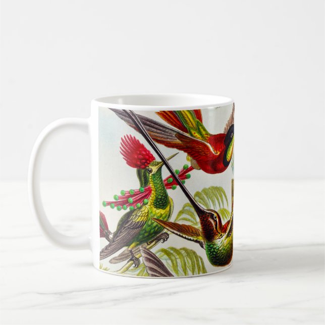 Vintage Hummingbirds by Ernst Haeckel Coffee Mug (Left)