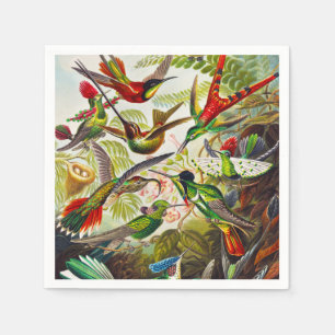 Vintage Hummingbirds by Ernst Haeckel Napkin
