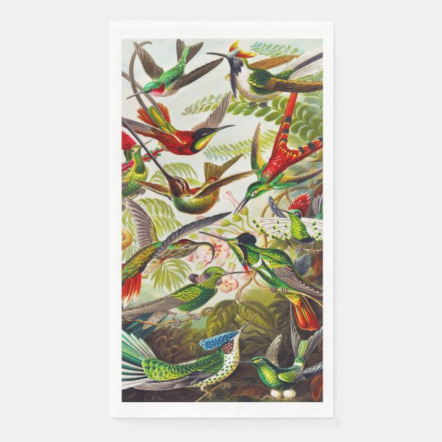 Vintage Hummingbirds by Ernst Haeckel Napkin (Front)