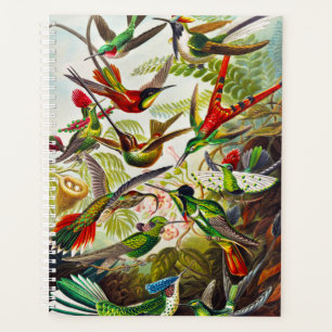 Vintage Hummingbirds by Ernst Haeckel Planner